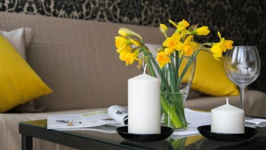Comment réaliser une décoration chic dans une maison&nbsp;&nbsp;?